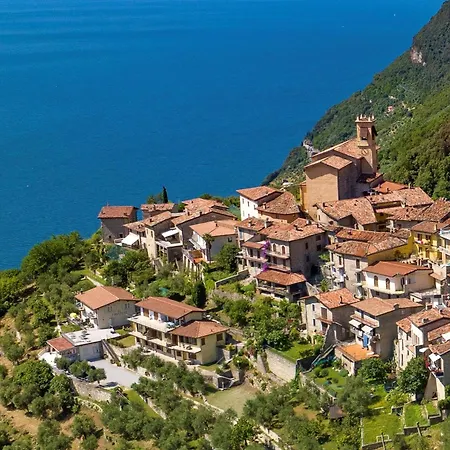 Borgo Piovere, In 提尼亚类